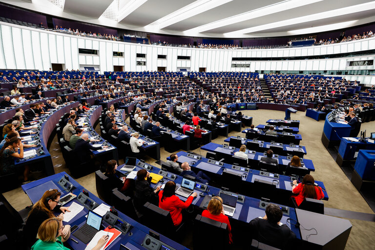 EP Plenary session - Voting session