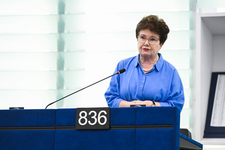 Fotografie 14: EP Plenary session - Implementation report on the Recovery and Resilience Facility