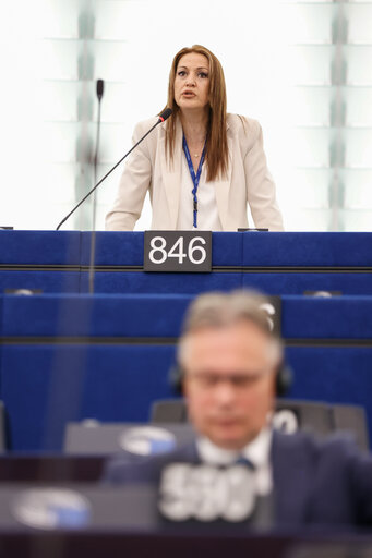 EP Plenary session - The Commission’s 2024 Rule of Law report