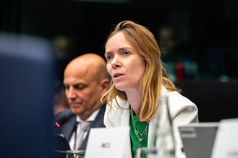 Conference of Committee Chairs (CCC)