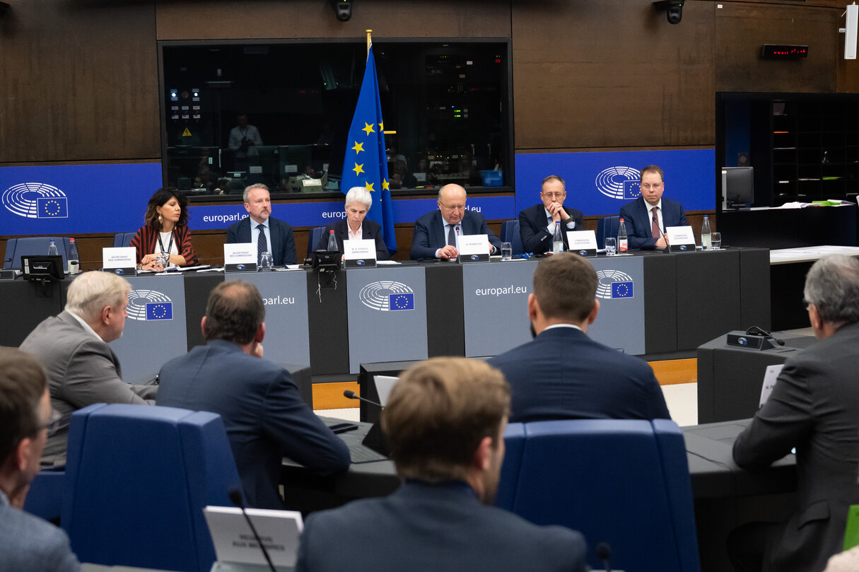 SEDE extraordinary meeting -  Presentation of the “Defence Omnibus” with Andrius Kubilius, European Commissioner for Defence and Space