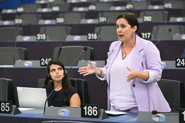 EP Plenary session - Joint Debate - Situation in the Middle East