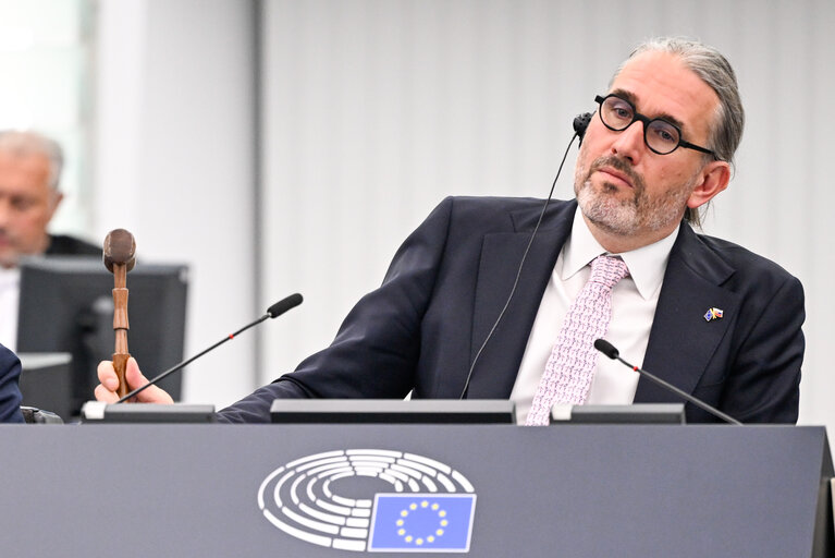 EP Plenary session - Freedom of assembly in Hungary and the need for the Commission to act
