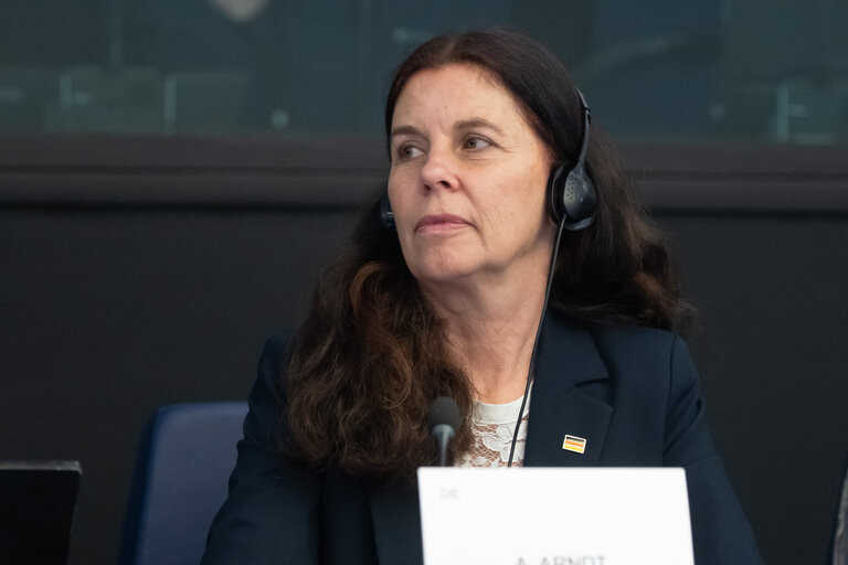 ENVI - Trilogue on the CBAM Omnibus