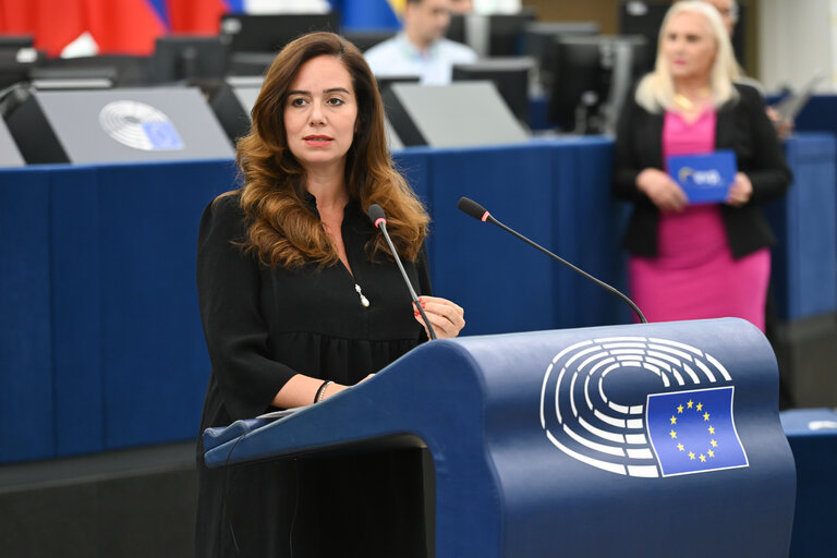 EP Plenary session - Electricity grids: the backbone of the EU energy system