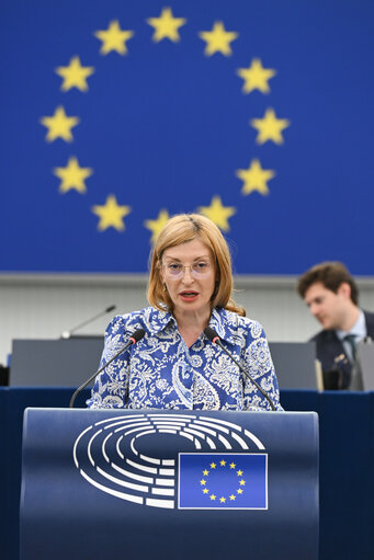 EP Plenary session - Electricity grids: the backbone of the EU energy system