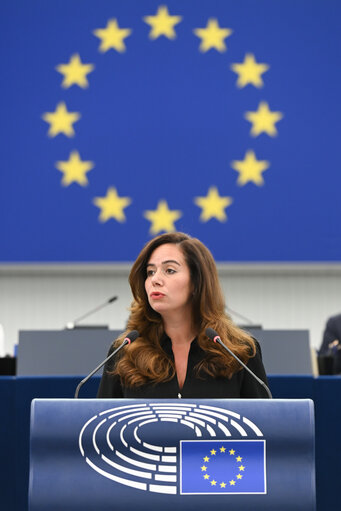 EP Plenary session - Electricity grids: the backbone of the EU energy system