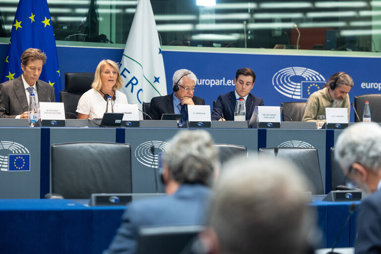 Foto 27: Delegation for relations with Mercosur (DMER) meeting