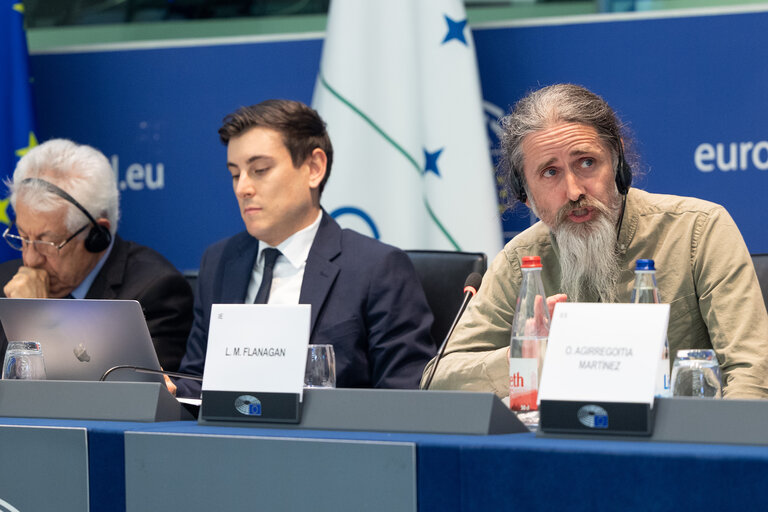 Foto 8: Delegation for relations with Mercosur (DMER) meeting