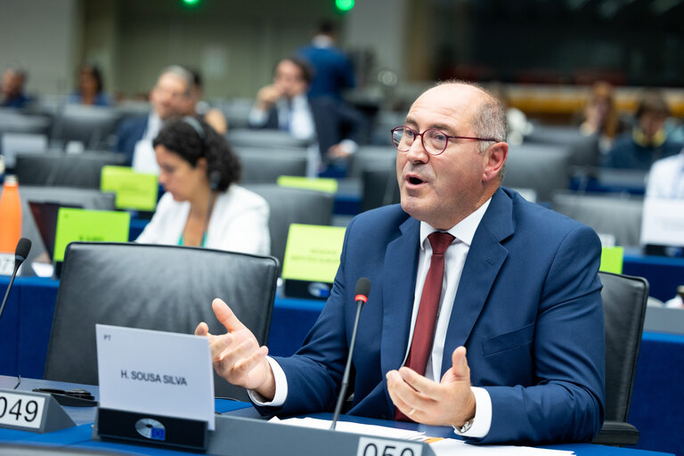 Foto 4: Delegation for relations with Mercosur (DMER) meeting