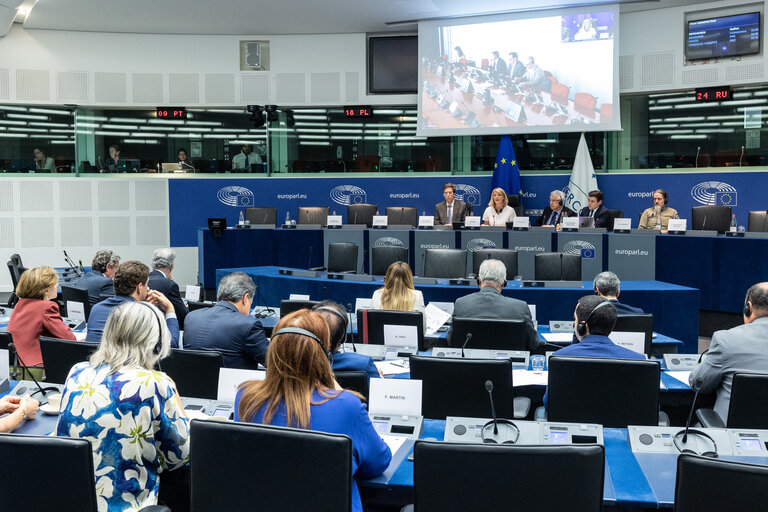 Foto 25: Delegation for relations with Mercosur (DMER) meeting