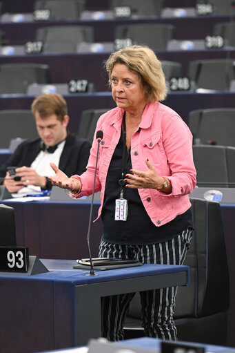Снимка 40: EP Plenary session - Electricity grids: the backbone of the EU energy system