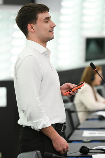 EP Plenary session - Electricity grids: the backbone of the EU energy system