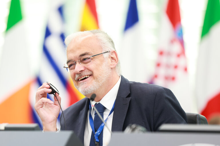 EP Plenary session - Institutional and political implications of the EU enlargement process and global challenges