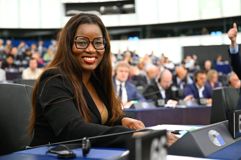 EP Plenary session - Voting session
