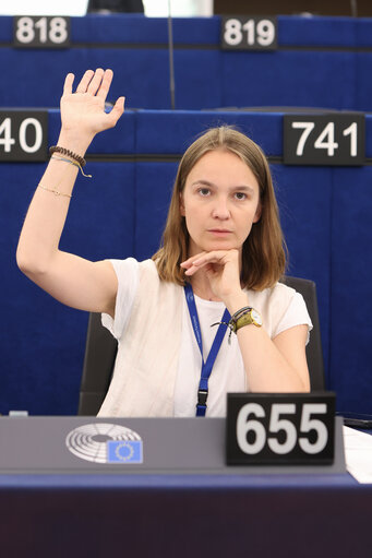 EP Plenary session - Voting session