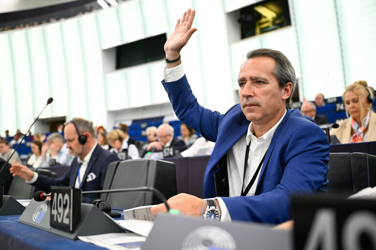 EP Plenary session - Voting session
