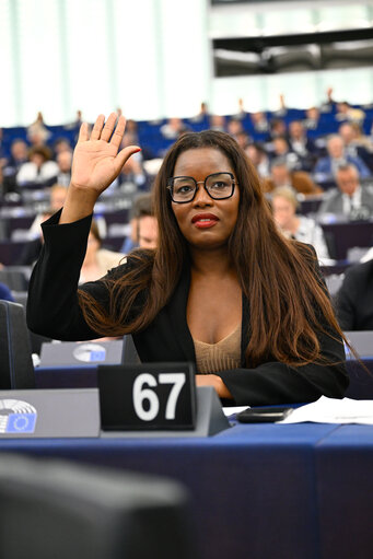 EP Plenary session - Voting session