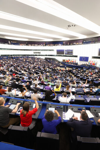 EP Plenary session - Voting session