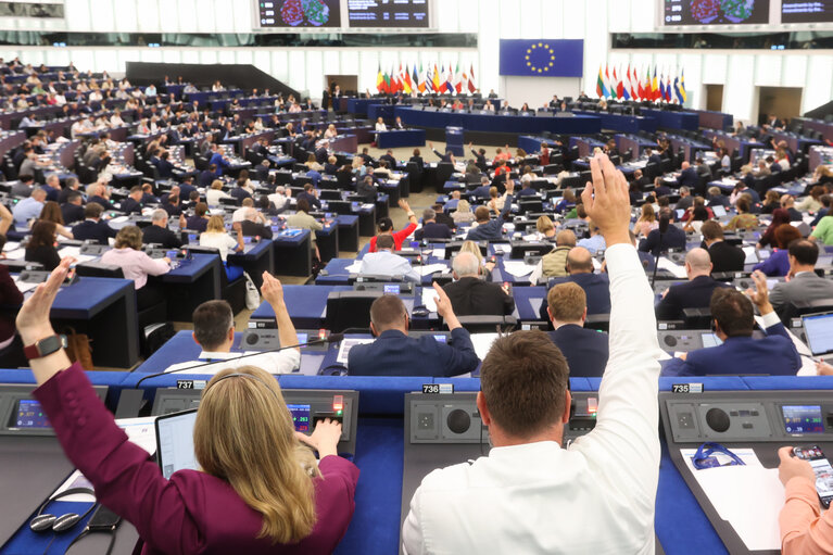 EP Plenary session - Voting session