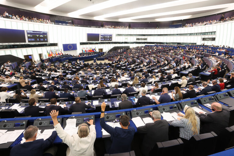 EP Plenary session - Voting session