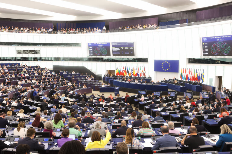 EP Plenary session - Voting session