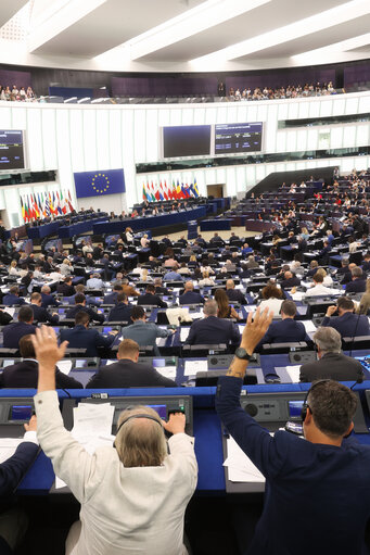 EP Plenary session - Voting session