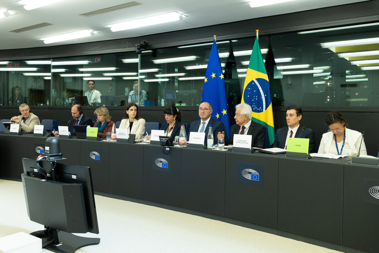 D-BR Interparliamentary Meeting