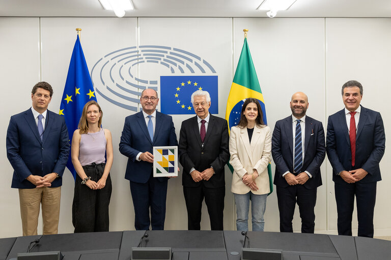D-BR Interparliamentary Meeting