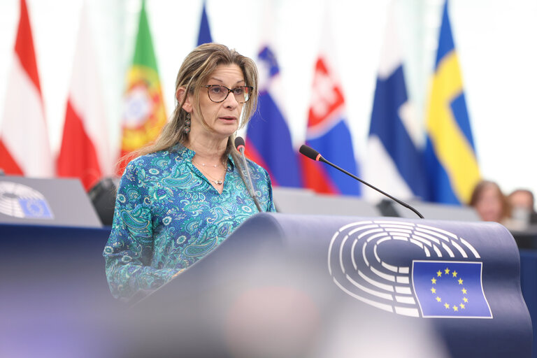 Foto 17: EP Plenary session - Protecting bees: advancing the EU's New Deal for Pollinators