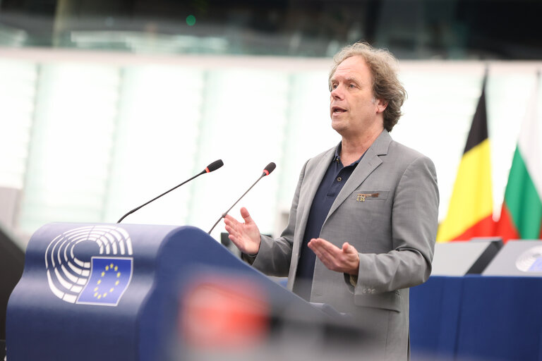 EP Plenary session - Protecting bees: advancing the EU's New Deal for Pollinators
