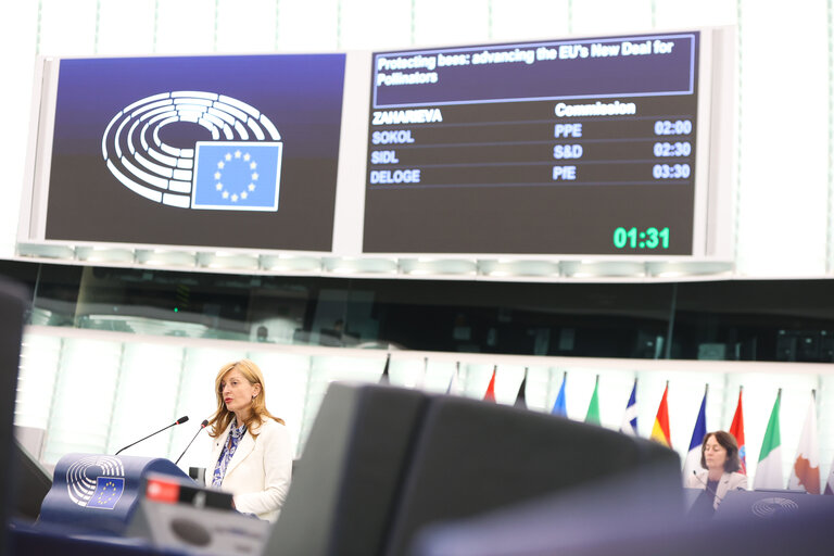 EP Plenary session - Protecting bees: advancing the EU's New Deal for Pollinators