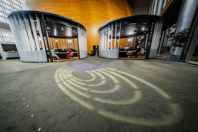 Strasbourg's Plenary session through the lens. Week 25.