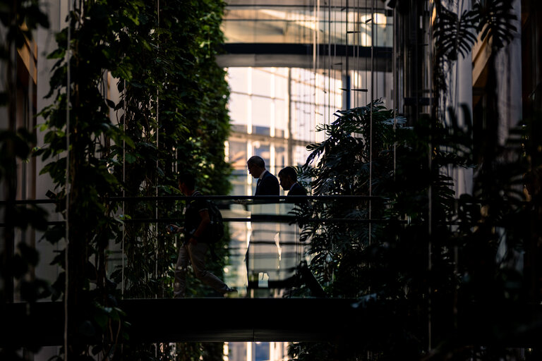 Strasbourg's Plenary session through the lens. Week 25.