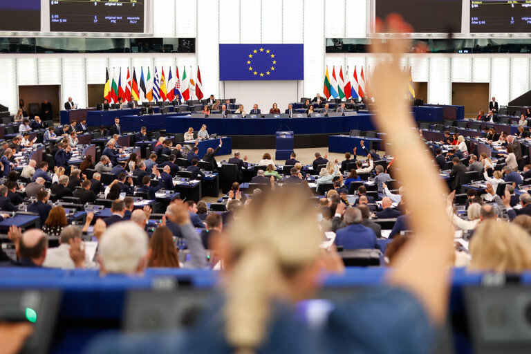 Strasbourg's Plenary session through the lens. Week 25.