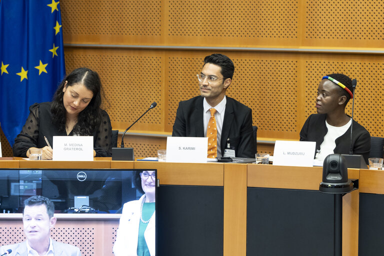 Sakharov Fellowship