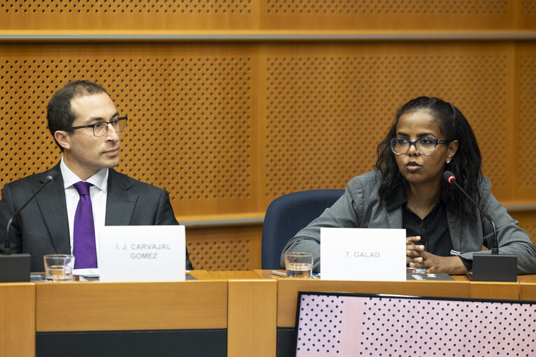 Sakharov Fellowship