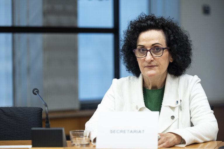 Sakharov Fellowship