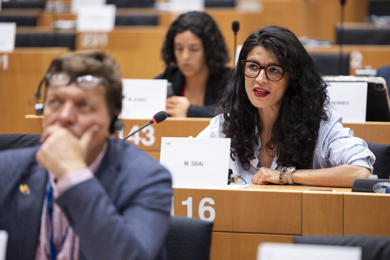 INTA - Exchange of views with Stéphane Séjourné, Commission's Executive Vice-President for Prosperity and Industrial Strategy, on the trade dimension of the Union industrial strategy, in particular on the Clean Industrial Deal