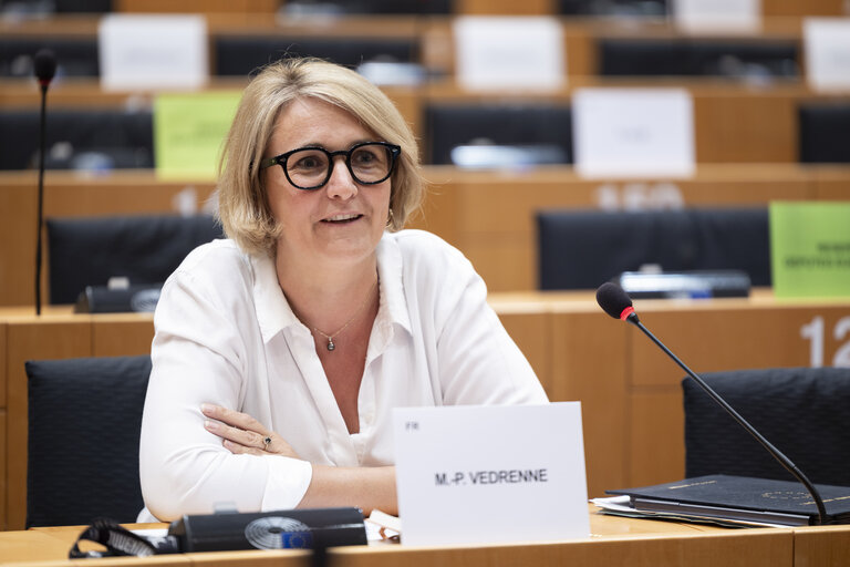 INTA - Exchange of views with Stéphane Séjourné, Commission's Executive Vice-President for Prosperity and Industrial Strategy, on the trade dimension of the Union industrial strategy, in particular on the Clean Industrial Deal