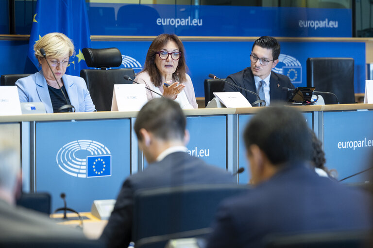 Europe's Demographic Crossroads - Exchange of views with Commissioner Dubraska SUICA