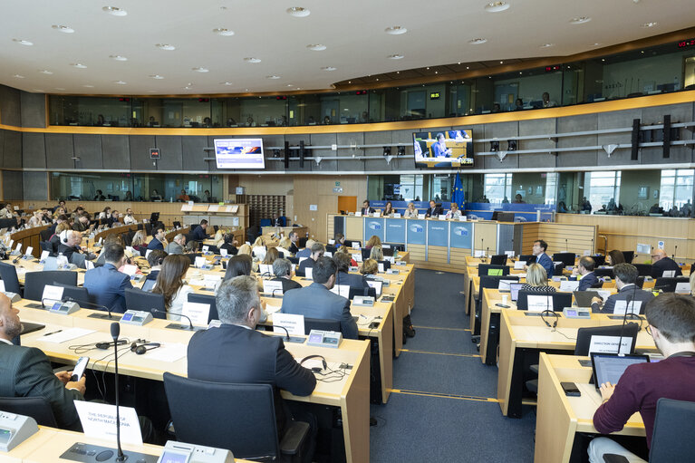 AFCO Interparliamentary Committee Meeting -EU Reform With a View to Future