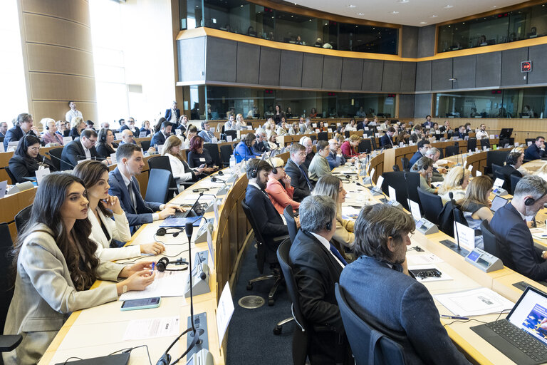 AFCO Interparliamentary Committee Meeting -EU Reform With a View to Future