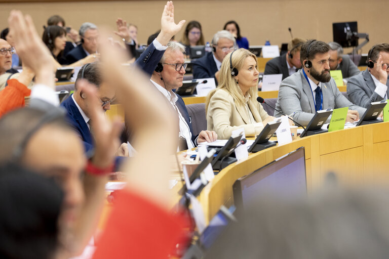 Photo 26: TRAN vote on two legislations that seek to reinforce passenger rights