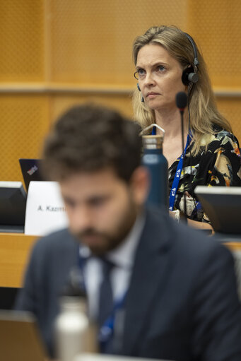 Foto 17: BUDG - Public hearing on Management and preparedness to extreme weather events and natural disasters in the EU budget