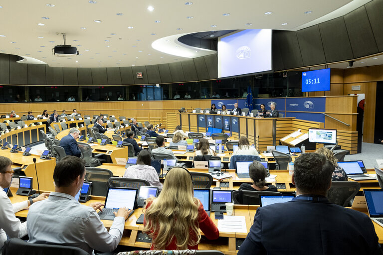 BUDG - Public hearing on Management and preparedness to extreme weather events and natural disasters in the EU budget