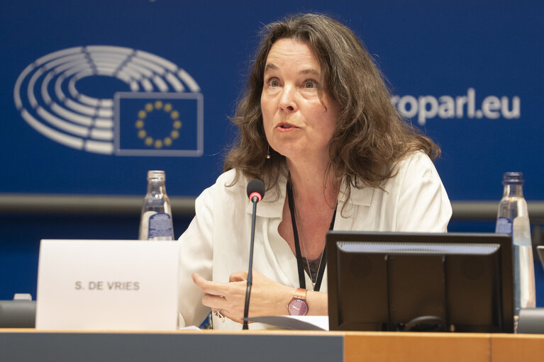 INTA committee meeting - Public hearing on the EU-Mercosur Trade Agreement