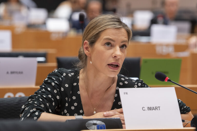 Foto 2: INTA committee meeting - Public hearing on the EU-Mercosur Trade Agreement