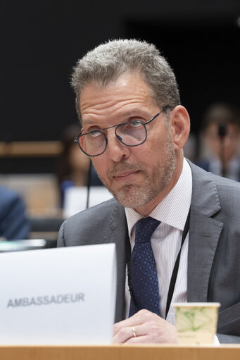 INTA committee meeting - Public hearing on the EU-Mercosur Trade Agreement