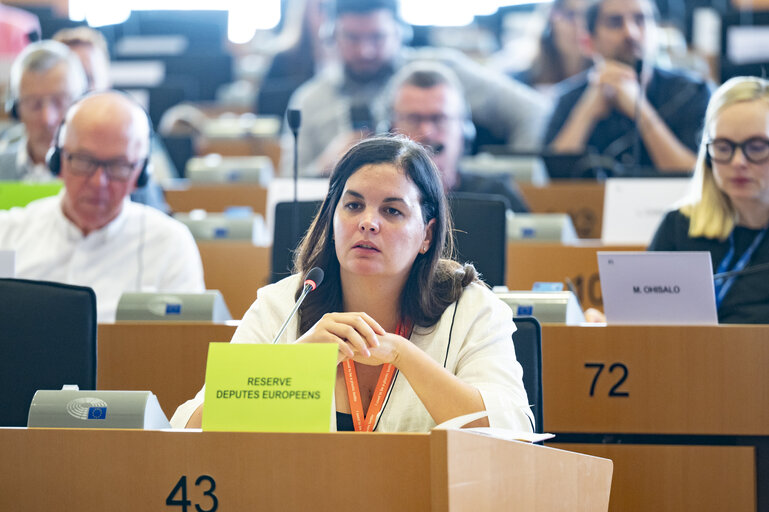 EMPL - Election of the 4th Vice Chair